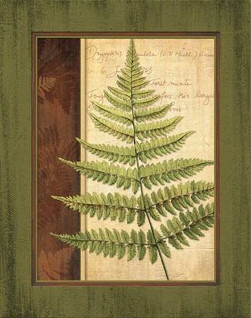Fern Grotto I by Delphine Corbin art print