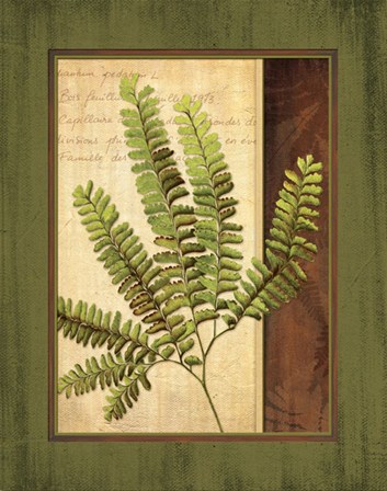 Fern Grotto II by Delphine Corbin art print