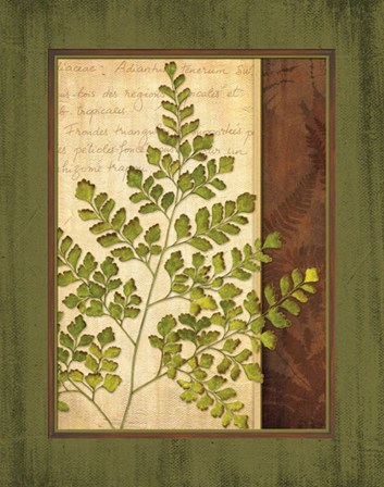 Fern Grotto IV by Delphine Corbin art print