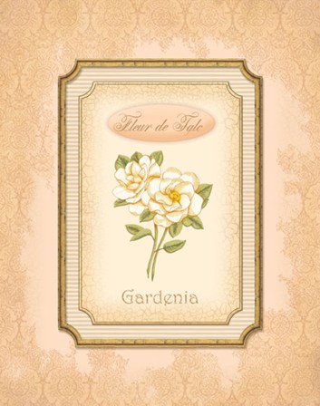 Eau de Parfum IV by Delphine Corbin art print