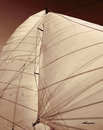 Windward Sail III by Alan Hausenflock art print