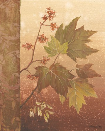 Maple Leaves by Jillian Jeffrey art print