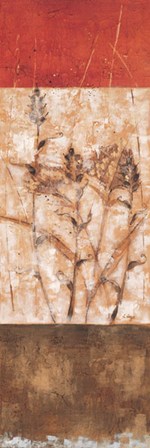 Fresco I - CS by Loretta Linza art print