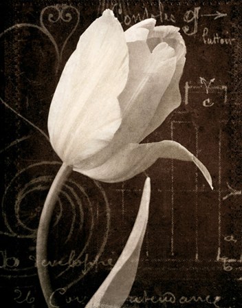 Garden Architecture I by Amy Melious art print