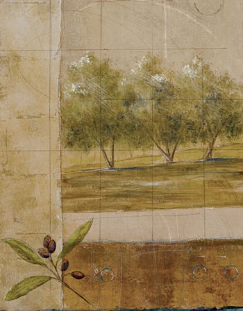Olive Groves I - CS by Cheryl Martin art print