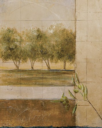 Olive Groves II - CS by Cheryl Martin art print