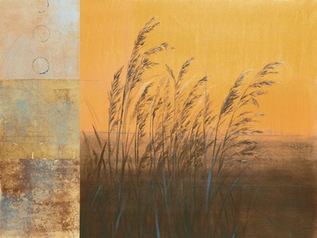 Shimmering I - CS by Cheryl Martin art print