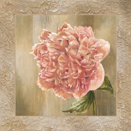 Pivoines II - CS by Selina Werbelow art print