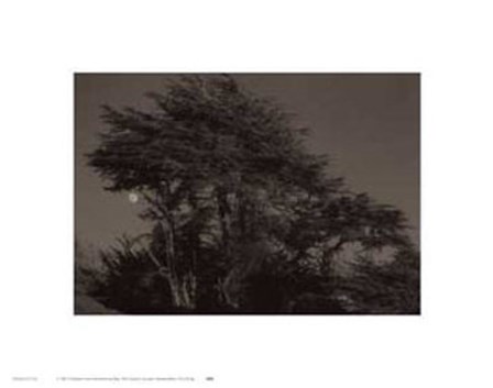 Harvest Moon by Paul Kozal art print
