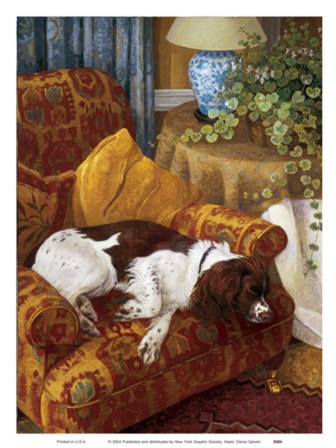 Hazel by Diana Calvert art print