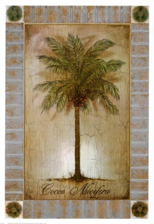 Cocos Nucifera by Sergio Bustamonte art print