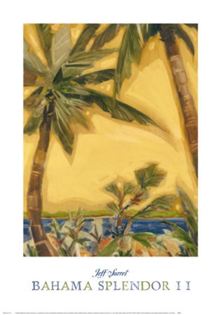 Bahama Splendor II by Jeff Surret art print