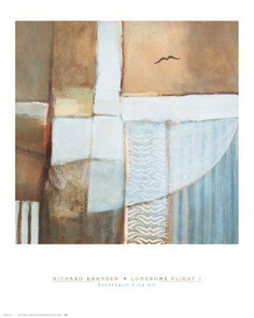 Lonesome Flight I by Richard Brandes art print