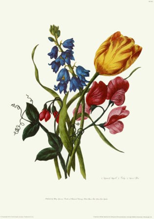 Bouquet with Tulipa Gesneriana by Sir Thomas Lawrence art print