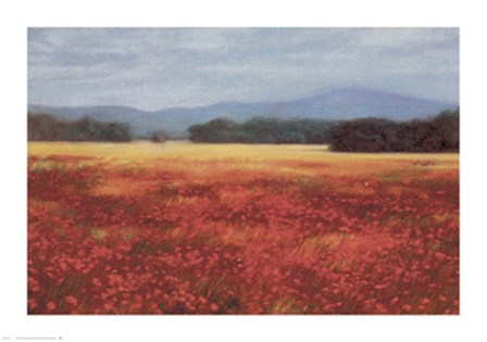 French Poppy Fields by David Schock art print