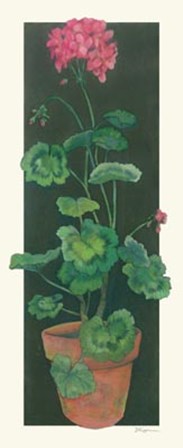 Geranium I by Judy Phipps art print