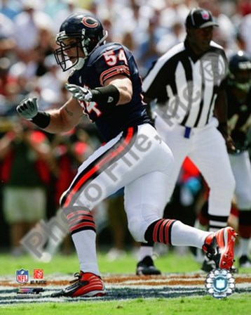 Brian Urlacher 2008 Action art print