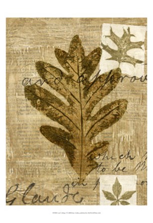 Leaf Collage I by Kate Archie art print