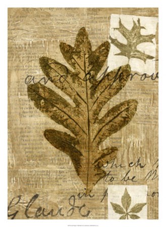 Leaf Collage I by Kate Archie art print