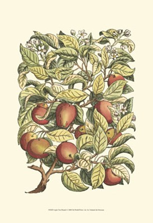 Apple Tree Branch by Duhamel De Monceau art print