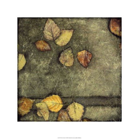 Wet Pavement II by Jennifer Goldberger art print