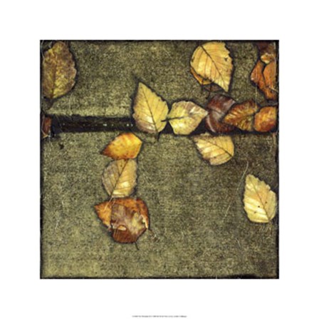 Wet Pavement III by Jennifer Goldberger art print