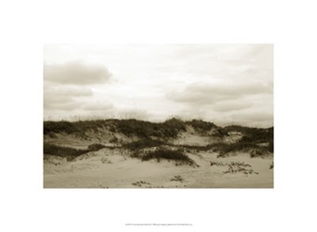 Ocracoke Dune Study III by Jason Johnson art print