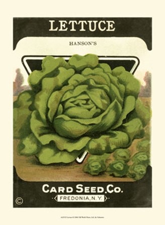 Lettuce art print