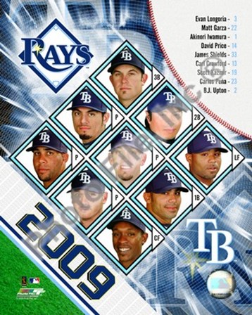 2009 Tampa Bay Rays Team Composite art print