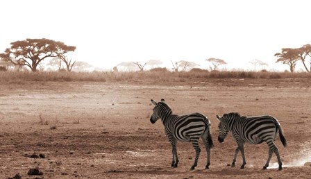 Crossing The African Plains by Jorge Llovet art print