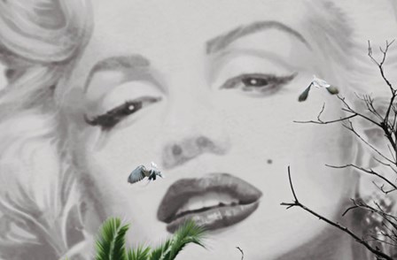 Marilyn a Cannes by Valery Hache art print