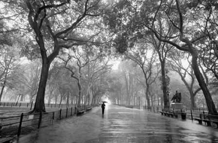 Poet&#39;s Walk, New York City by Henri Silberman art print