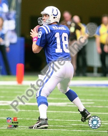 Peyton Manning 2009 Action art print