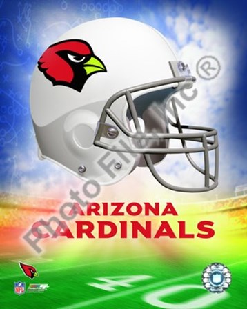 2009 Arizona Cardinals Team Logo art print