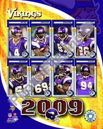 2009 Minnesota Vikings Team Composite art print