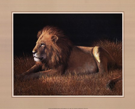 Lying Lion by W. Michael Frye art print