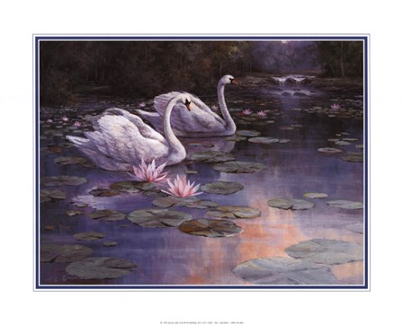 Swans and Waterfall by T.C. Chiu art print