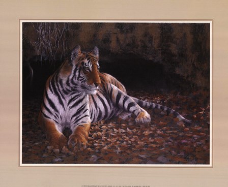 Tiger&#39;s Lair by Michael Boym art print