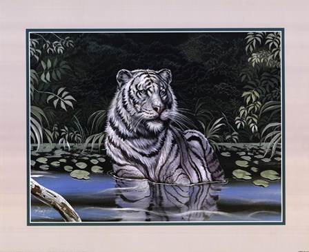 Wading White Tiger by Gary Ampel art print