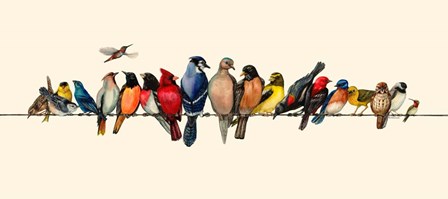 Bird Menagerie III by Wendy Russell art print