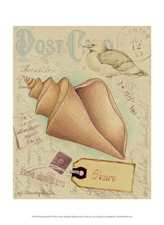 Postcard Shells III by Nancy Shumaker art print