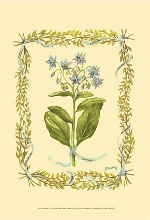 Borage by Wendy Russell art print