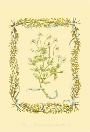 Chamomile by Wendy Russell art print