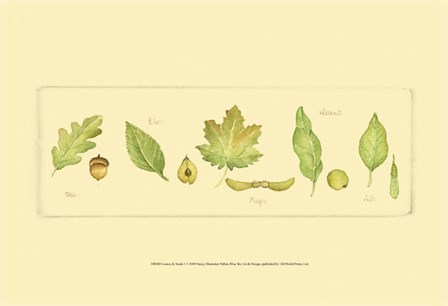 Leaves &amp; Seeds I by Nancy Shumaker art print