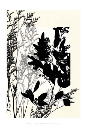 Sm Translucent Wildflowers X by Jennifer Goldberger art print