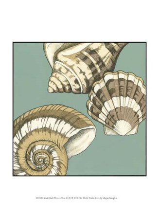 Small Shell Trio on Blue II (P) by Megan Meagher art print