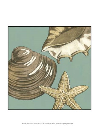 Small Shell Trio on Blue IV (P) by Megan Meagher art print