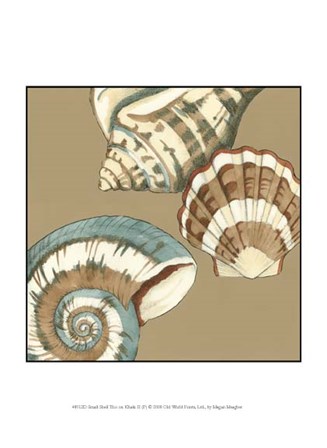 Small Shell Trio on Khaki II (P) by Megan Meagher art print
