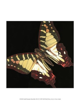 Small Dramatic Butterflies III by Vision Studio art print