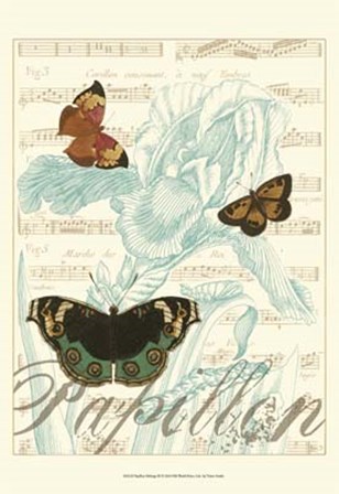 Papillon Melange III by Vision Studio art print